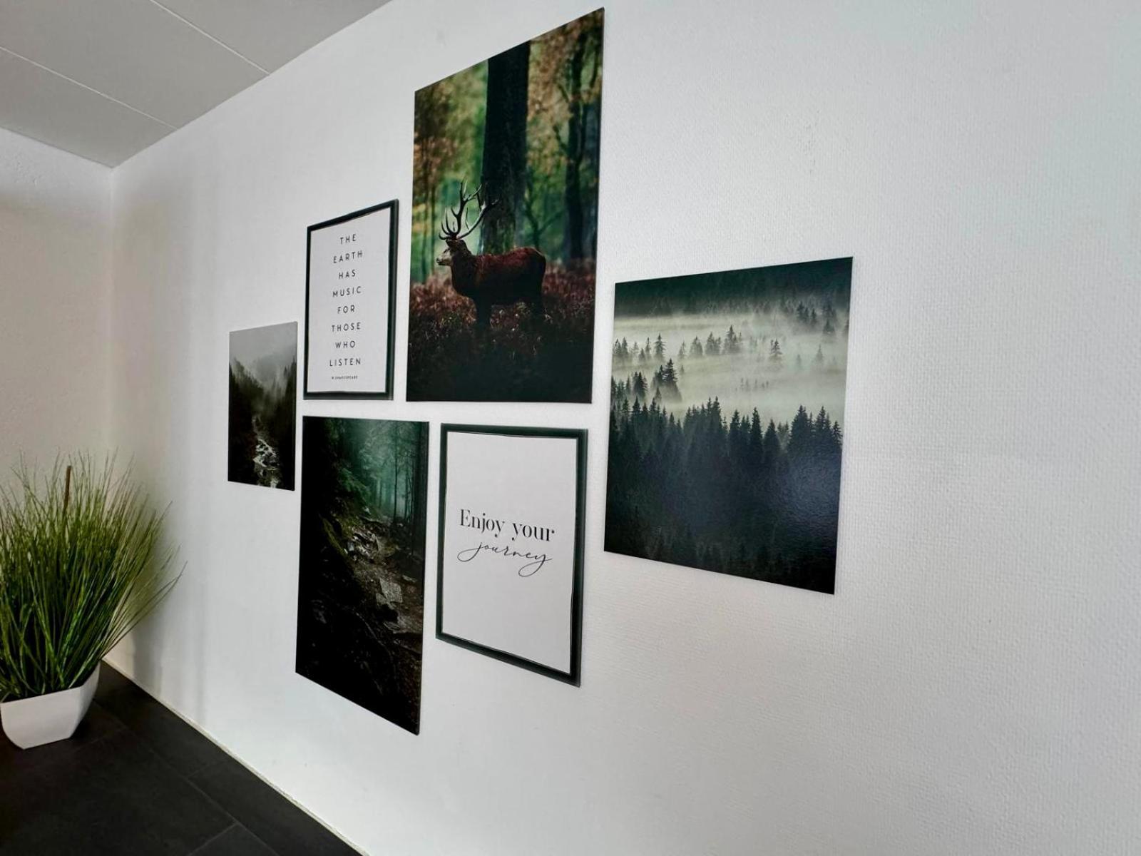Bollenhut 1 Apartment Bad Wildbad Ngoại thất bức ảnh